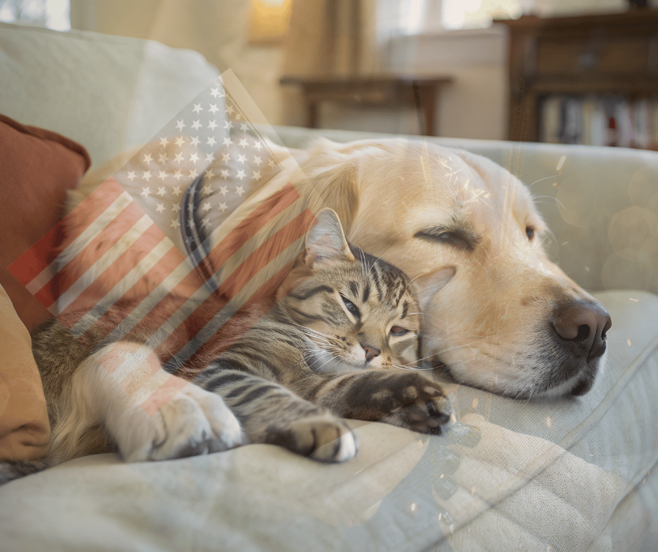 indoor safe zone for pets fourth of july fireworks anxiety