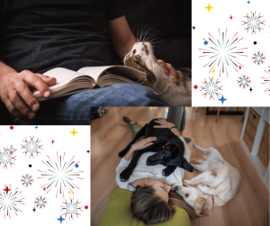 family reading night with dog safe during fireworks