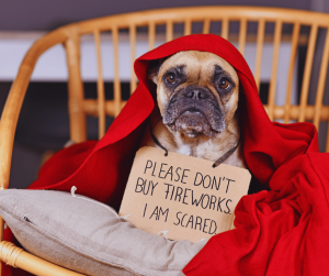 fourth of july affects your pets