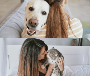 calm pet safe at home fourth of july pet safety tips