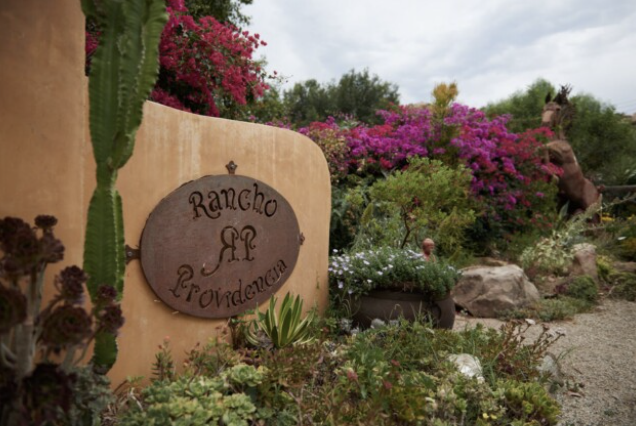 the_animal_rescue_alliance_ranch